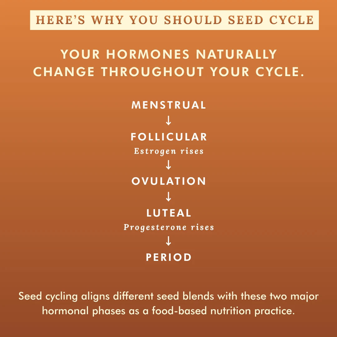 Seed Cycling Bites