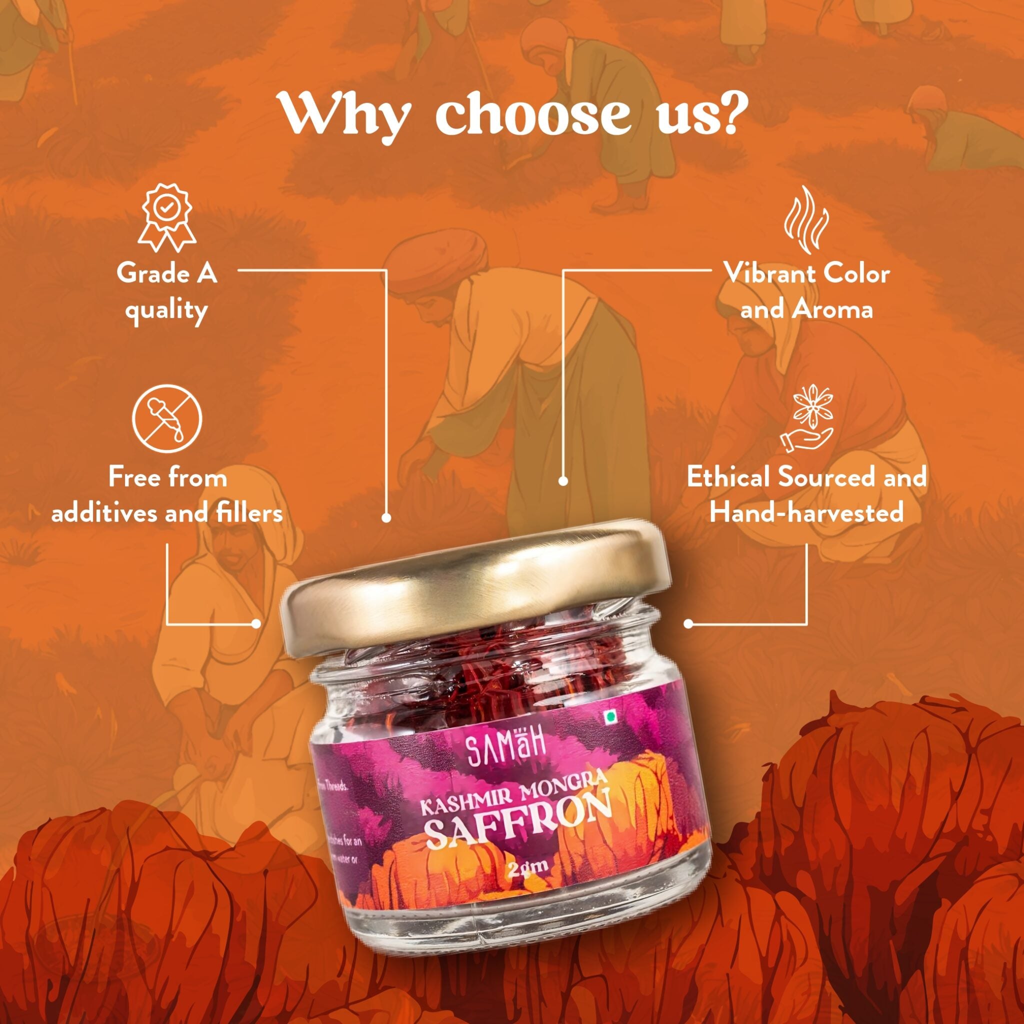 KASHMIR MONGRA SAFFRON