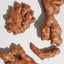 Ginger