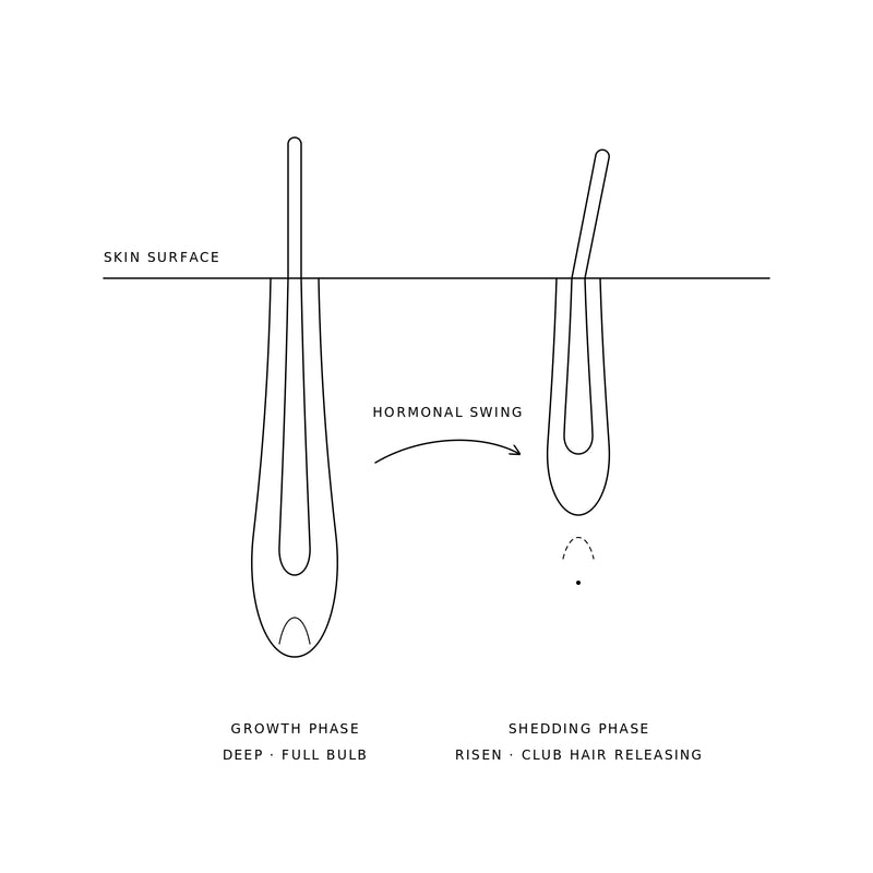 Follicles Feel It Too