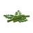 Moringa